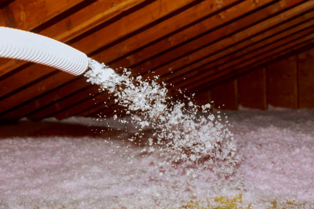 Best Attic Insulation Near Me  in Monarch Mill, SC