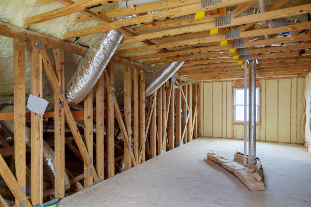 Best Insulation Removal  in Monarch Mill, SC